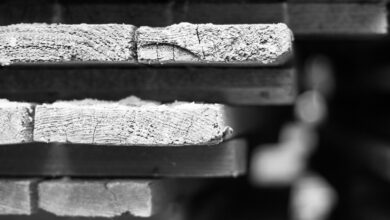 Investors Underestimating Scale and Scope of Tech Bull Market, Says Hedge Fund Veteran Dan Ives – Here’s Why