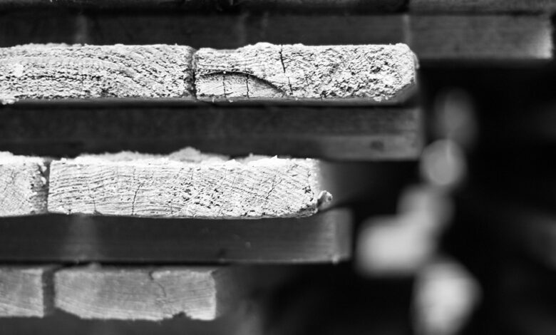 Investors Underestimating Scale and Scope of Tech Bull Market, Says Hedge Fund Veteran Dan Ives – Here’s Why