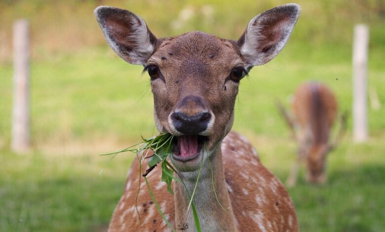 JPMorgan Chase Executive Warns S&P 500 Upside Limited – And AI Correction Could Trigger Mass Market Selloff