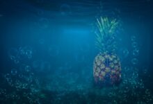 JPMorgan’s Bob Michele Argues There Isn’t an AI Bubble, Says Market Is In Good Place Despite Stock Slide