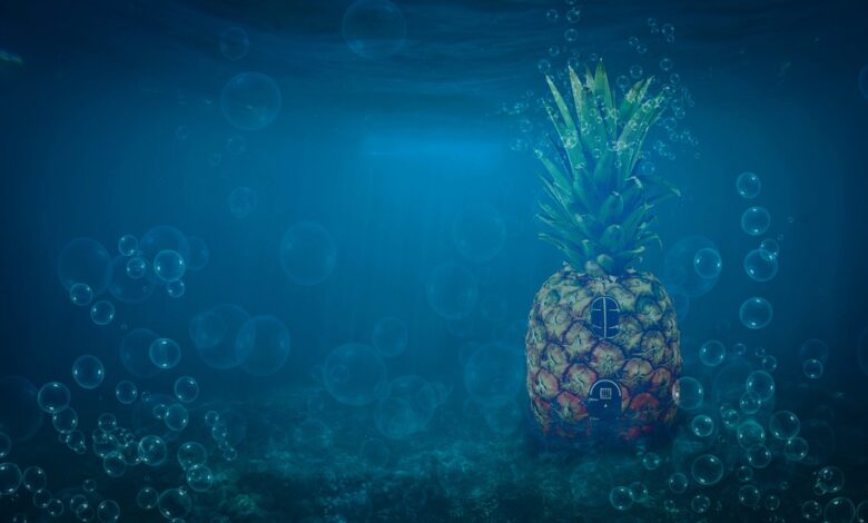 JPMorgan’s Bob Michele Argues There Isn’t an AI Bubble, Says Market Is In Good Place Despite Stock Slide