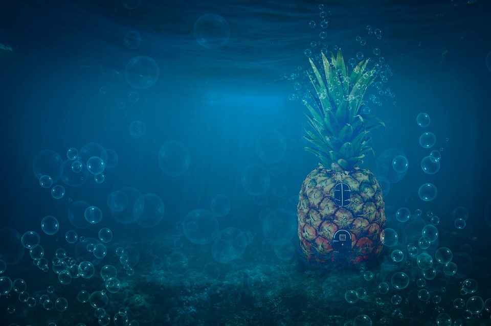 JPMorgans Bob Michele bleibt optimistisch: US-Wirtschaft zeigt Stärke trotz Marktrückgang und erwartet Zinsenkungen im Dezember.