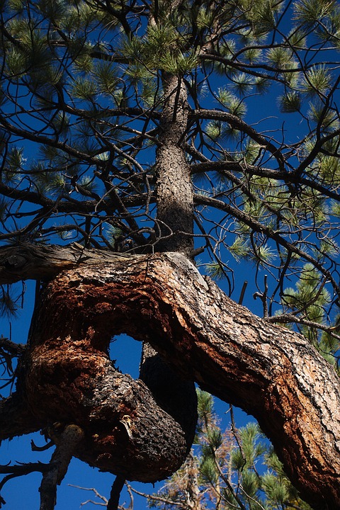 Jeffrey Gundlach zieht Bargeld vor und bleibt optimistisch bei Gold trotz hoher Aktienbewertungen.
