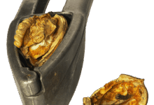 Leverage Shares by Themes adds GEMI, BLSH, BMNR to leveraged single-stock ETF suite — debuting first-to-market GEMG