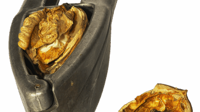 Leverage Shares by Themes adds GEMI, BLSH, BMNR to leveraged single-stock ETF suite — debuting first-to-market GEMG