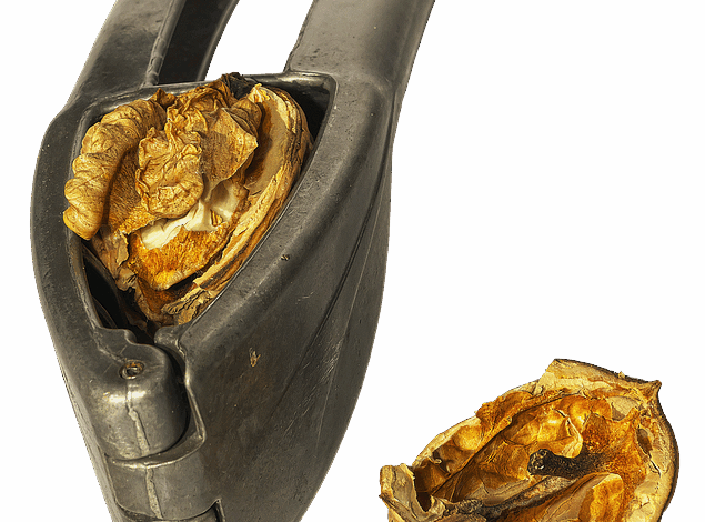 Leverage Shares by Themes adds GEMI, BLSH, BMNR to leveraged single-stock ETF suite — debuting first-to-market GEMG