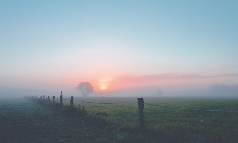 Mevolaxy Launches Mobile App and Announces Record Payouts