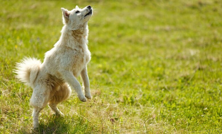 Man Allegedly Drains $45,000 From Customers At Three US Banks Using Only His Smartphone: Report