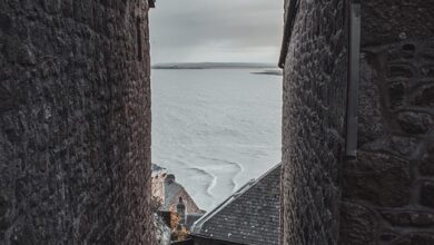 Legendary Investor Michael Burry Bets $282,500,000 on Six Stocks After Turning Bearish on Nvidia and Palantir