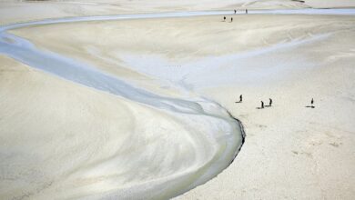 Contrarian Investor Michael Burry Opens $1,098,680,000 Short on Peter Thiel-Backed Company and Tech Stock That’s Exploded 110% in Seven Months