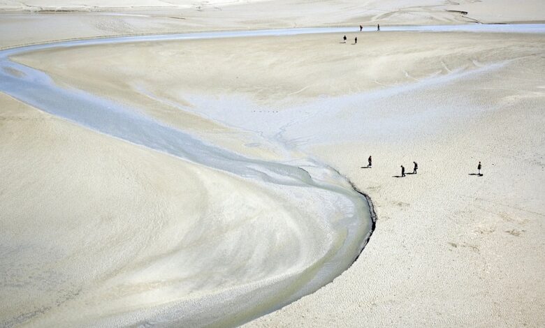 Contrarian Investor Michael Burry Opens $1,098,680,000 Short on Peter Thiel-Backed Company and Tech Stock That’s Exploded 110% in Seven Months