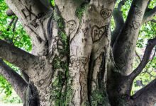 The Era of DEX Dominance: BasePerp, the First Base Perpetual DEX, Announced Its ICO