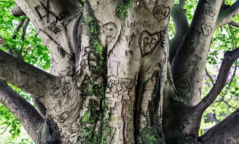 The Era of DEX Dominance: BasePerp, the First Base Perpetual DEX, Announced Its ICO