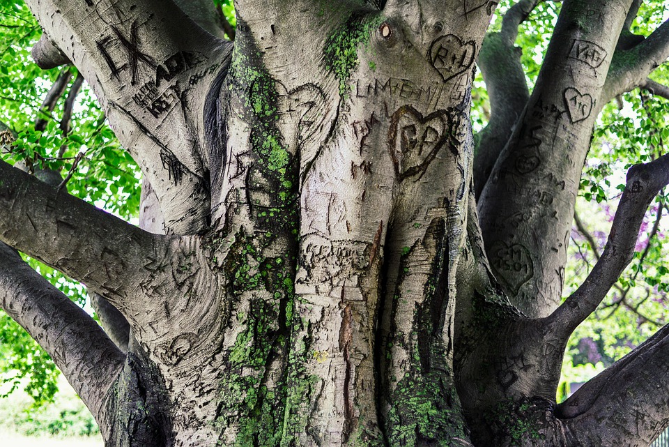 Perpetual DEXs übernehmen die Führung im On-Chain-Trading: BasePerp startet Vorverkauf und revolutioniert die Liquidität auf der Base-Blockchain.