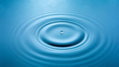 Ripple Acquires Crypto Custody Platform Palisade, Reveals $4,000,000,000 Spending Spree