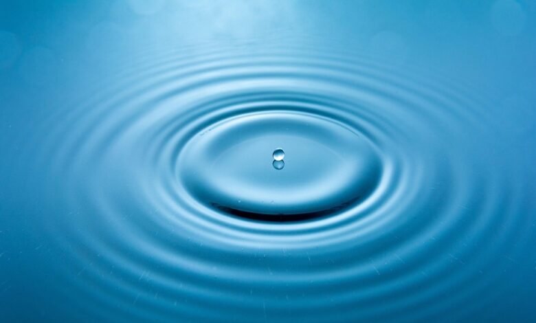 Ripple Acquires Crypto Custody Platform Palisade, Reveals $4,000,000,000 Spending Spree