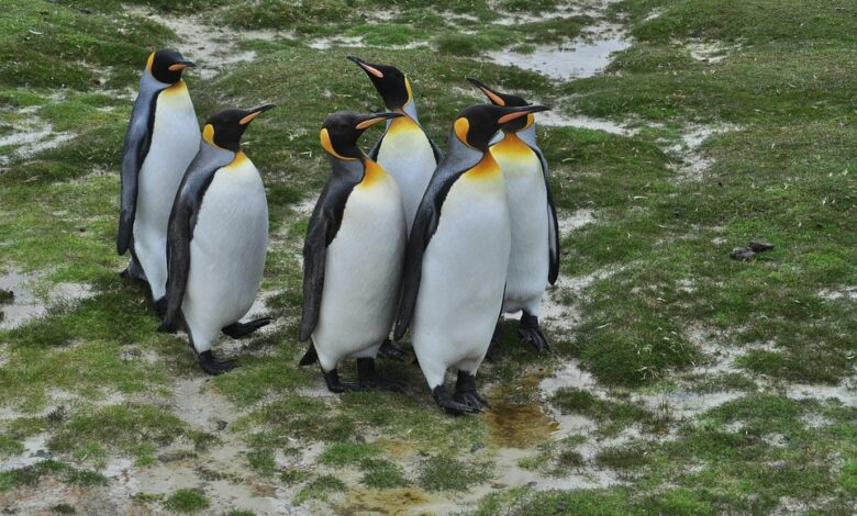 Billionaire Stanley Druckenmiller Pours $93,100,000 Into Two Stocks After Dumping Nvidia and Palantir