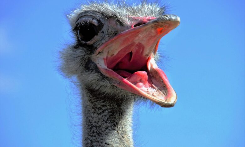 Coinbase Ventures-Backed Supra Offers $1M Bounty to Beat Its Parallel EVM Execution Engine