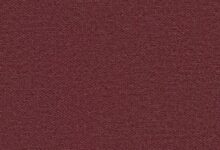 Tea-Fi Redefines DeFi: One SuperApp. Infinite Yield. Powered by TEA