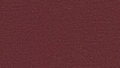 Tea-Fi Redefines DeFi: One SuperApp. Infinite Yield. Powered by TEA