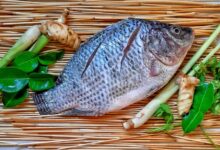 Fundstrat’s Tom Lee Says November Stock Market Bull Run Incoming – Here Are His Targets