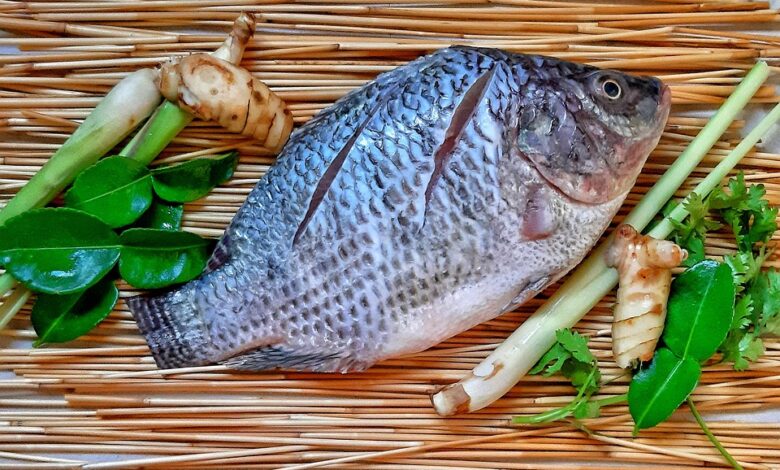 Fundstrat’s Tom Lee Says November Stock Market Bull Run Incoming – Here Are His Targets