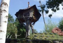 US Food Giant Paying $4,000,000 To Customers After Massive Frozen Food Recall – No Proof Required