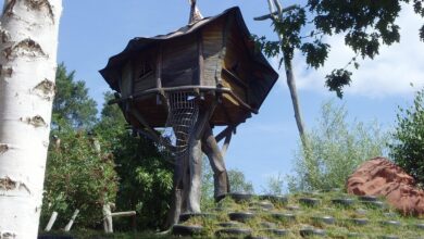 US Food Giant Paying $4,000,000 To Customers After Massive Frozen Food Recall – No Proof Required