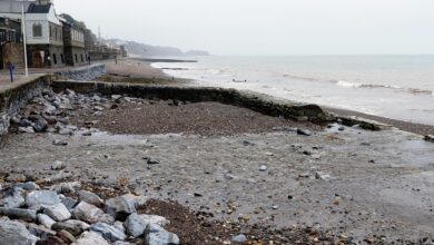 Billionaire Warren Buffett Invests $308,940,000,000 Into 46 Stocks, Dumping Berkshire Hathaway’s Stake in Apple and Bank of America