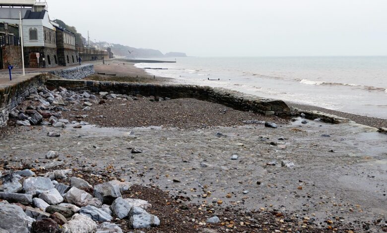 Billionaire Warren Buffett Invests $308,940,000,000 Into 46 Stocks, Dumping Berkshire Hathaway’s Stake in Apple and Bank of America