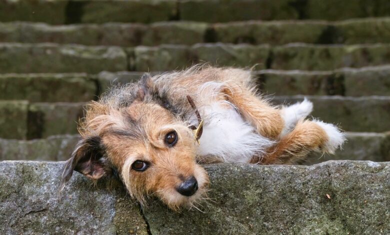 Billionaire Warren Buffett Pours $61,762,000,000 Into Single US Asset As Berkshire Hathaway’s Cash Holdings Surge