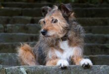 Billionaire Warren Buffett Dumps $6,100,000,000 in Stocks in Three Months As Berkshire Hathaway Hoards Record Pile of Cash