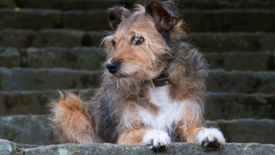 Billionaire Warren Buffett Dumps $6,100,000,000 in Stocks in Three Months As Berkshire Hathaway Hoards Record Pile of Cash