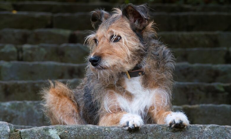 Billionaire Warren Buffett Dumps $6,100,000,000 in Stocks in Three Months As Berkshire Hathaway Hoards Record Pile of Cash