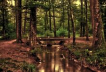 Wells Fargo Tells Traders To Take Profits on Tech Stocks Amid Prospect of ‘Negative Surprises’ – Here’s Where the Bank Is Recommending Investors Turn Next