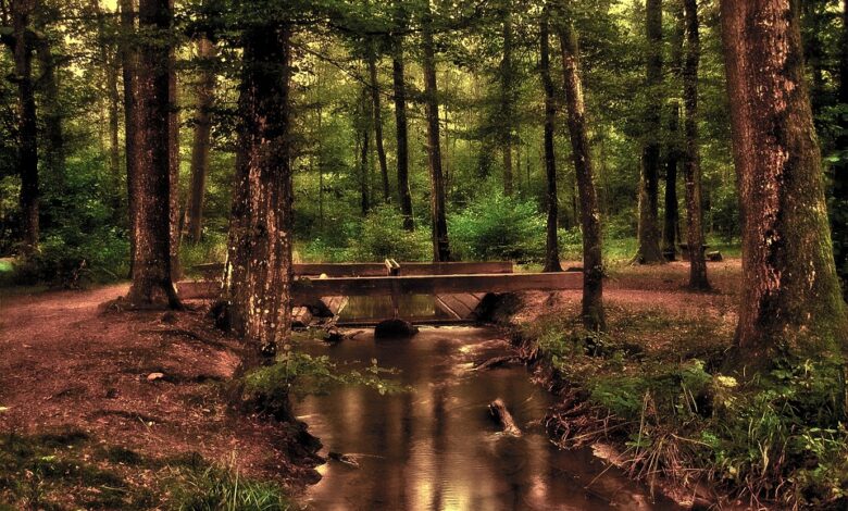 Wells Fargo Tells Traders To Take Profits on Tech Stocks Amid Prospect of ‘Negative Surprises’ – Here’s Where the Bank Is Recommending Investors Turn Next