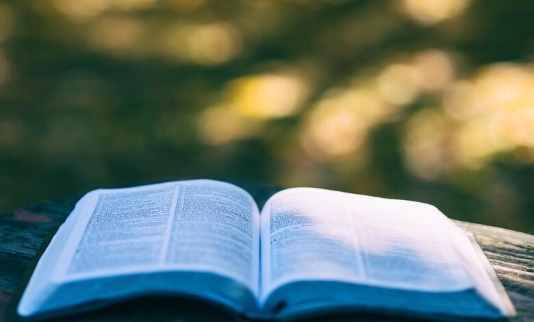 Yardeni Research President Forecasts Imminent ‘Santa Clause Rally’ – Details S&P 500 Target